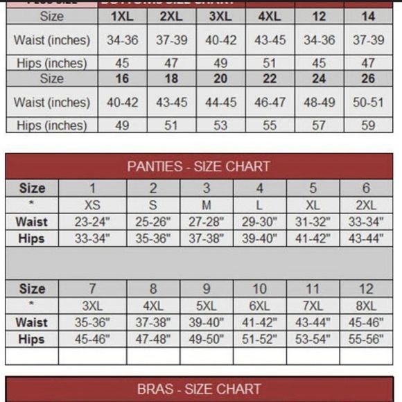 Lace Hipster Panty matching bra in listing - Picture 4 of 4